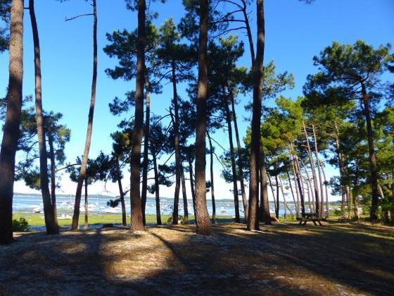 Вилла Maison Oceane Proche Plage Арес Экстерьер фото